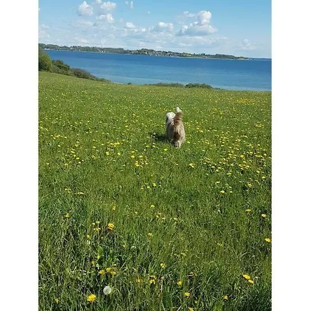 Haus Finisberg Lägenhet Flensburg