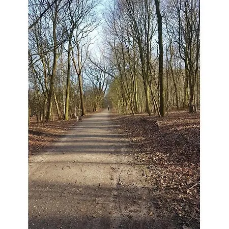 Lägenhet Haus Finisberg